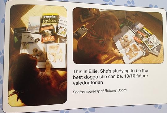 #WeRateDogs 16--bookspoils