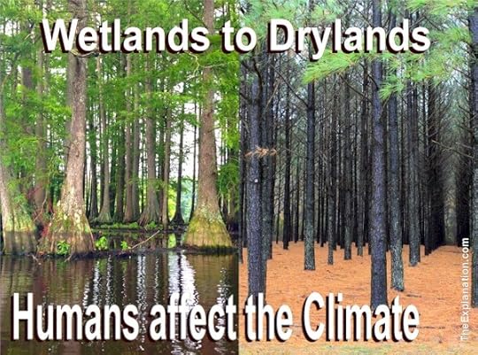 The water cycles continues unabated, but where the water goes is another matter. Drying up and removing wetlands force water to run off and accumulate where it wouldn't normally go.