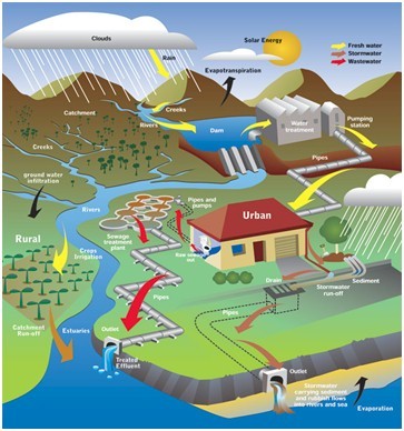 The water cycle adding in the equation of human consumption.