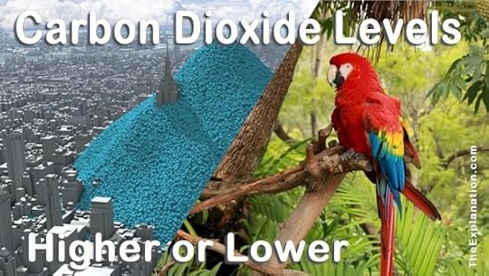 Carbon dioxide levels in the atmosphere are increasing. Do we want polluted cities and tropical rain forests? Or fresh air, vibrant forests and livable cities?