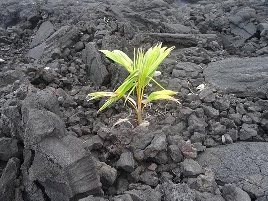 new-beginning-408377_1280.jpg