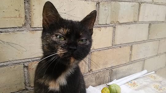 Image result for plotting