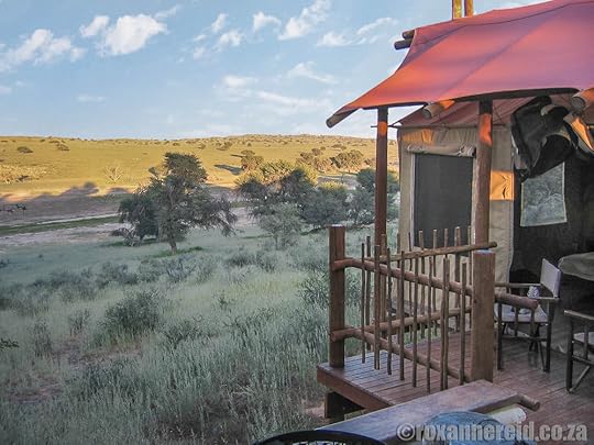 Kgalagadi Transfrontier Park