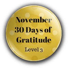 nov l3