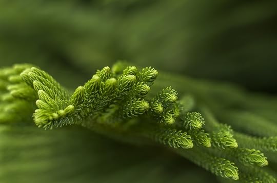 Make your content evergreen for different audiences