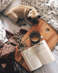13 thrillers to read