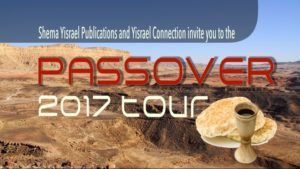 Pesach Banner for DIGITAL USE (LARGE)