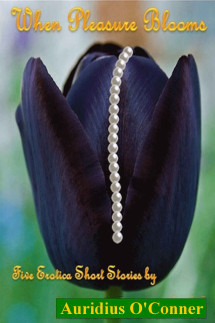 WPB Cover