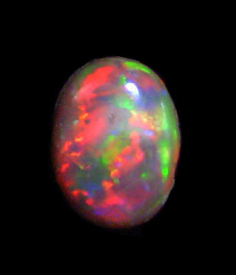 File:Black Opal.JPG