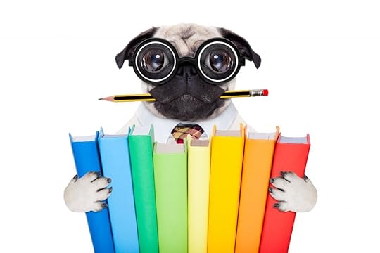 Plotting a novel