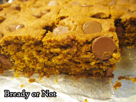 Bready or Not: Pumpkin Chocolate Chip Bars 