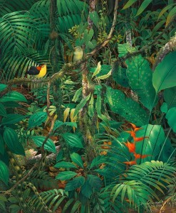 Birds in Jungle