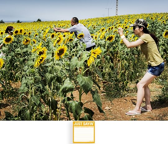 Find the Just Sayin' Sticky Note - Knock Knock Blog