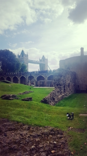 Tower Bridge from Tower of London