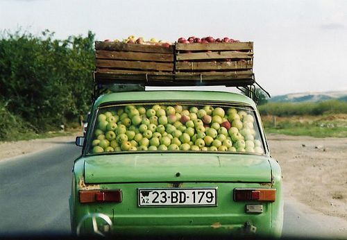 Image result for picking an apple, soviet union