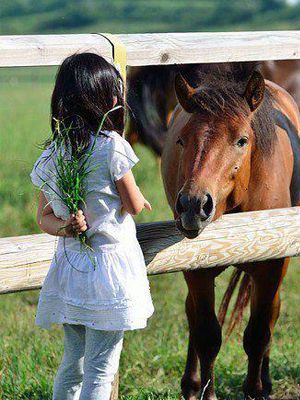 little girl and horse