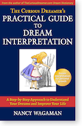 The Curious Dreamer Book