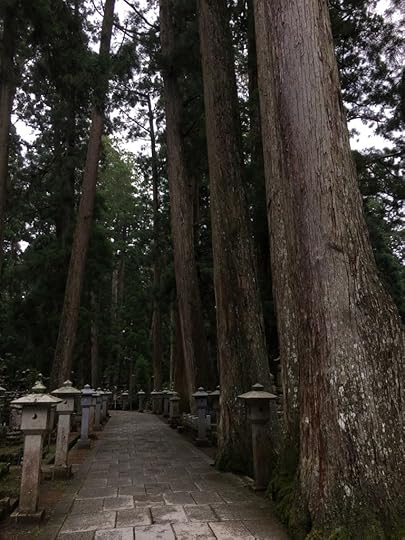 Okunoin Trees
