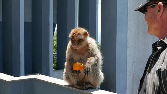 WHAT DID I JUST TELL YOU NOT TO DO? 