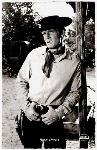 Brad Harris
