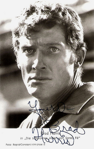 Brad Harris