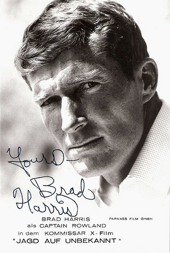 Brad Harris
