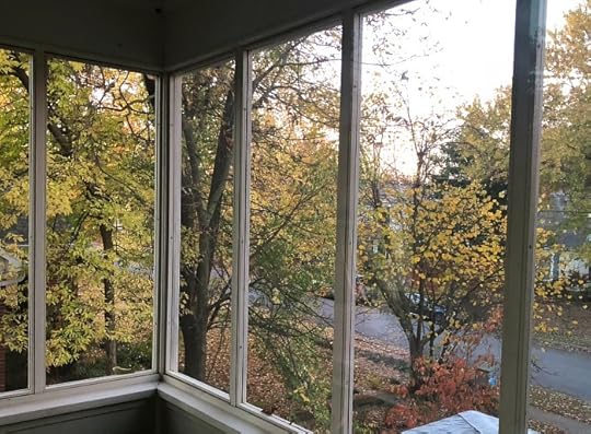 The view from our sleeping porch