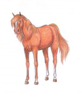 A Sárkánytűz szereplői