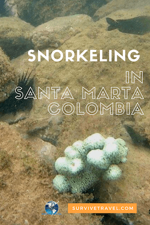 7 Beaches for Snorkeling in Santa Marta, Colombia, Pin1
