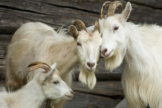 Photograph by Anton Balazh