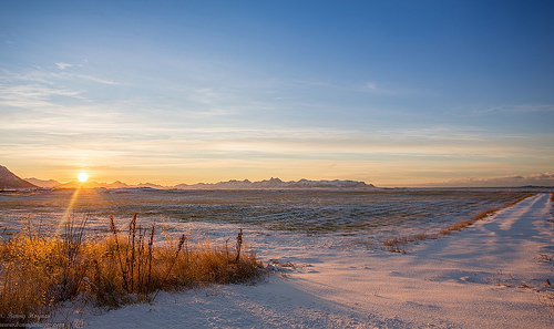 The Island of the Midnight Sun. Photographer Benny Høynes
