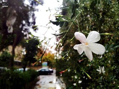 1622182_625696034178559_2310445979114644885_n