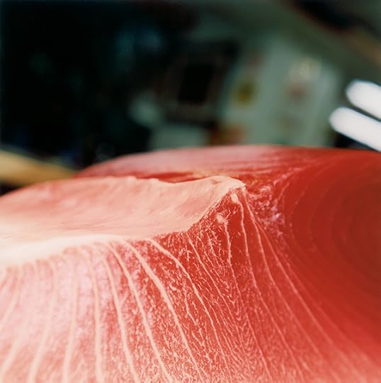 Rinko Kawauchi, Untitled, 2009; from the series Illuminance © the artist 