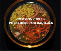  COMMON CORE: PETRI DISH FOR RADICALS