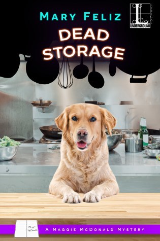 Blog Tour with Review – Dead Storage by Mary Feliz