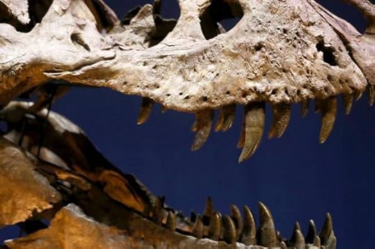 Dinosaur Teeth