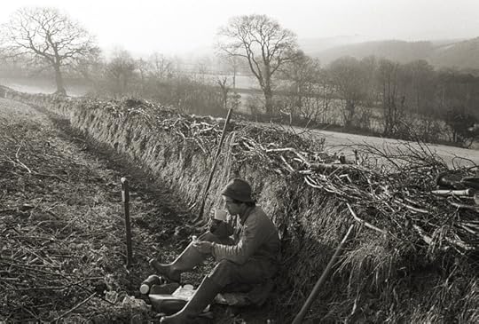 Hedger's Lunch Break by James Ravilious