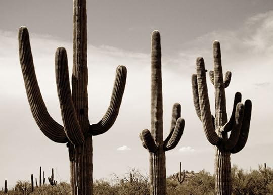 3 Amigos by Stu Jenks