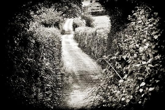 Down the Deep Lanes by James Ravilious