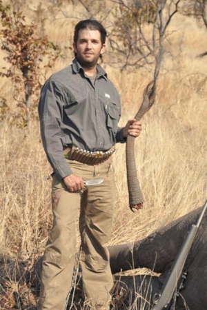 donald trump jr elephant.jpg