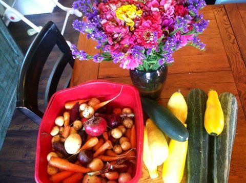 Jolina Petersheim's garden veggies