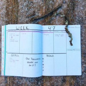 Writer's Buller Journal