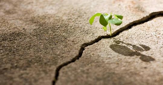 Image result for grit
