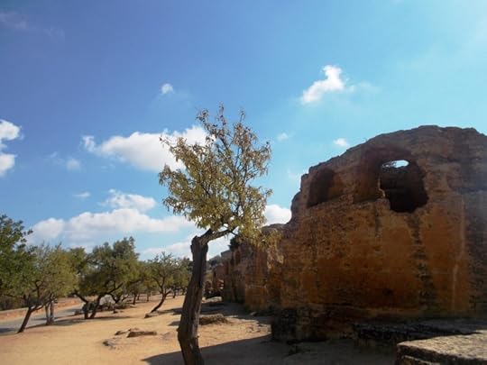 Agrigento: tree and ruins