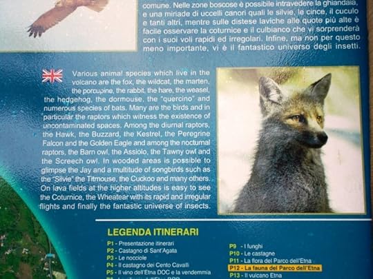 Information panel about wildlife on Mount Etna