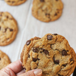 Thick and Chewy Chocolate Chip Cookies Recipe | Good Cheap Eats