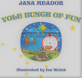 Jana Meador Vole Bunch of Fun