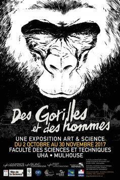 23658603_1751937071545516_3527016008368400931_n