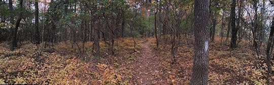 Early November in South Carolina