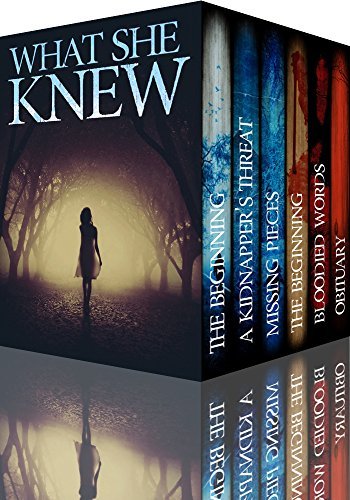 What She Knew Super Boxset: A Riveting Mystery Series by [Hunt, James]